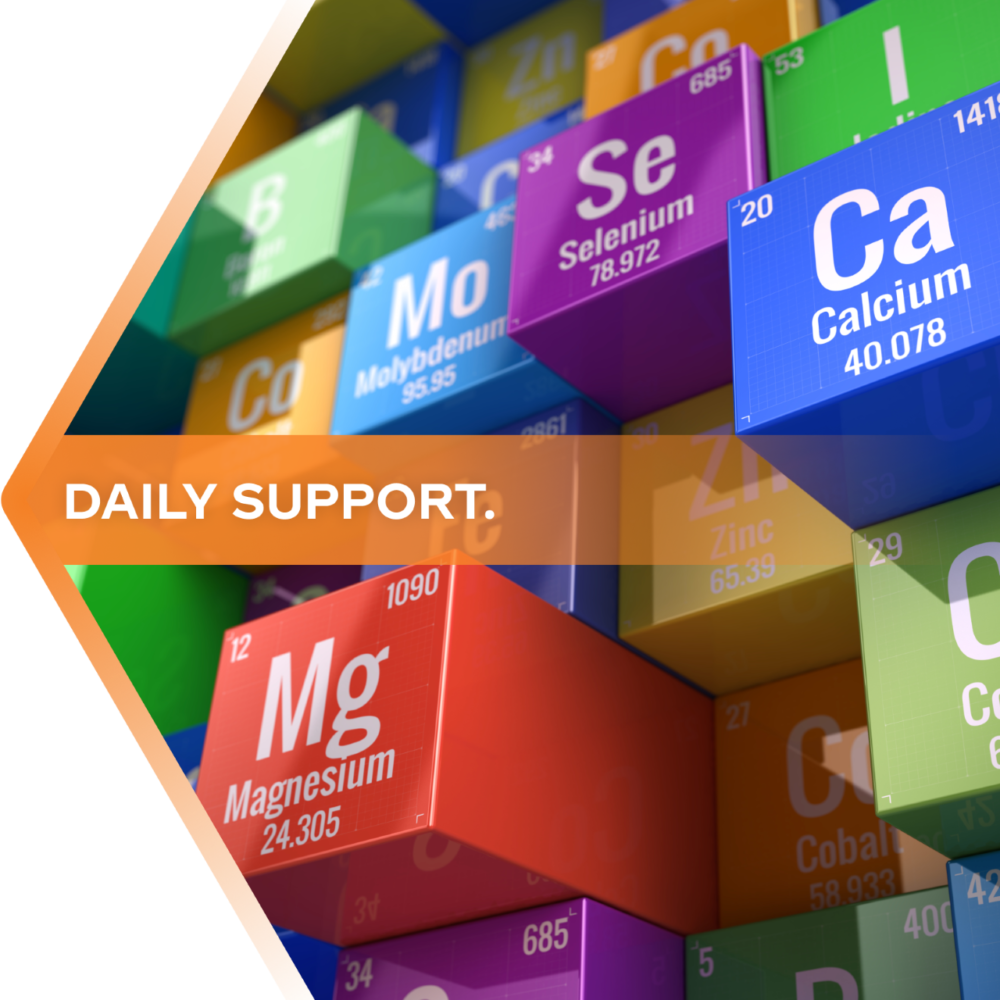 BioMatrix Support Minerals Supplement